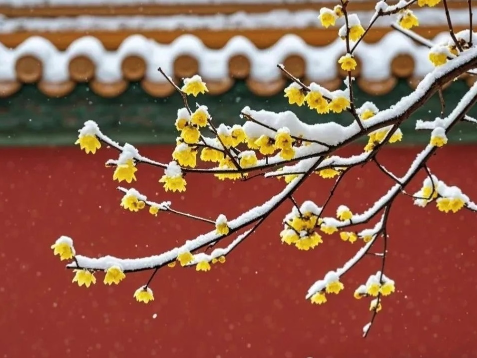 微信图片_20250305130157.png