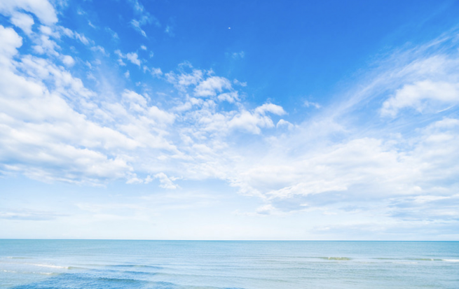 1756168061754654.png 233333333.png