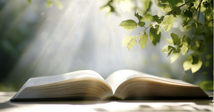 1763382338802810.png 111.png